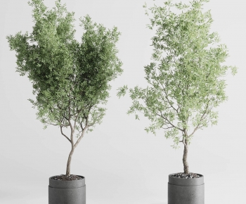 Modern Ground Green Plant Potted Plants-ID:816637041