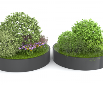 Modern Flower Bed, Flower Bowl, Flower Box-ID:361016998
