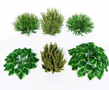 Modern Shrubbery-ID:321877961