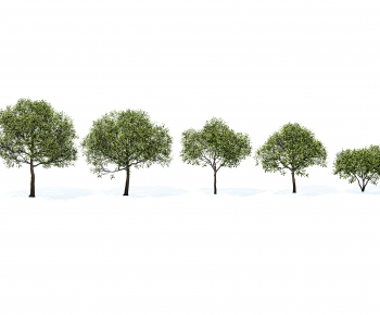 Modern Tree-ID:619004967