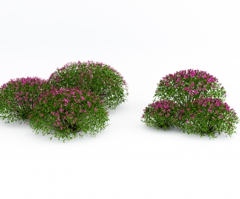 Modern Shrubbery-ID:728883034