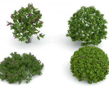 Modern Shrubbery-ID:946155078