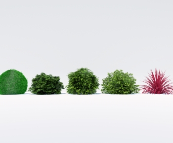 Modern Shrubbery-ID:895586973