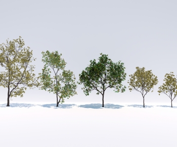 Modern Tree-ID:513390064