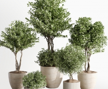 Modern Ground Green Plant Potted Plants-ID:562884097