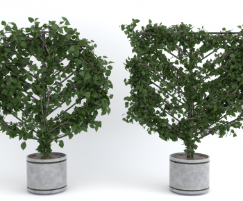 Modern Ground Green Plant Potted Plants-ID:781002047