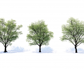 Modern Tree-ID:122812031