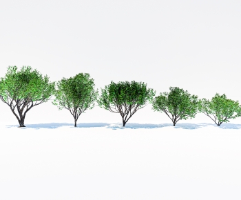 Modern Shrubbery-ID:583858974