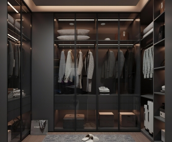 Modern Clothes Storage Area-ID:798813109