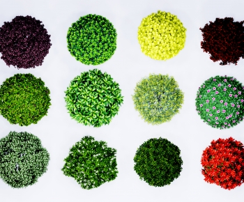 Modern Shrubbery-ID:769300582