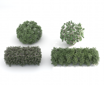 Modern Shrubbery-ID:260438936