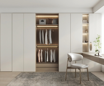 Modern Clothes Storage Area-ID:541696073