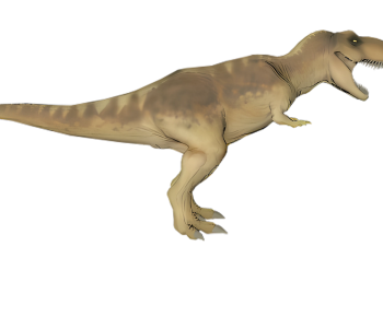 Modern Other Animals-ID:672538047