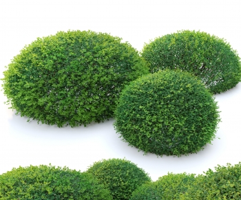 Modern Shrubbery-ID:360841048