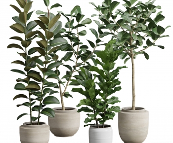 Modern Ground Green Plant Potted Plants-ID:343760013