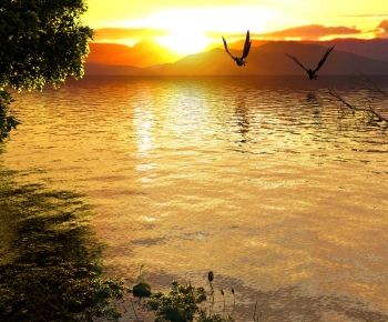 Modern Landscape-ID:983812092