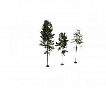 Modern Tree-ID:849365957