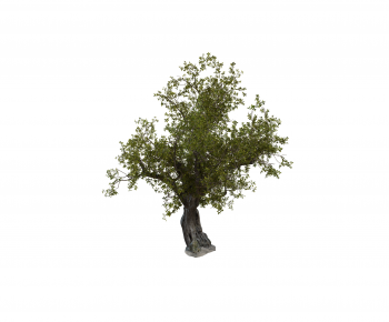 Modern Tree-ID:448771951