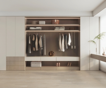 Modern Clothes Storage Area-ID:478506091