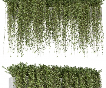 Modern Plant-ID:232839621