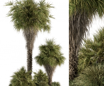 Modern Tree-ID:406723982