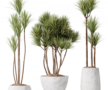 Modern Ground Green Plant Potted Plants-ID:187572008