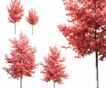 Modern Tree-ID:891835936