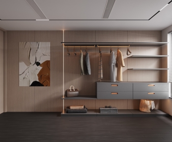Modern Clothes Storage Area-ID:169421912