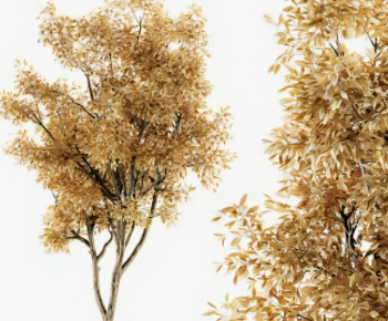 Modern Tree-ID:402610064