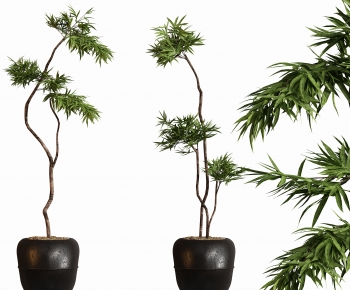 现代落地绿植盆栽组合-ID:271626004