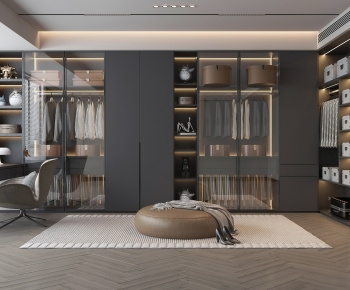 Modern Clothes Storage Area-ID:103979136