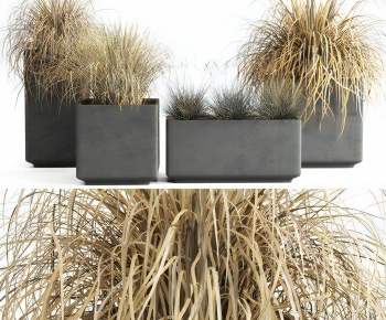 Modern Flower Bed, Flower Bowl, Flower Box-ID:134368903