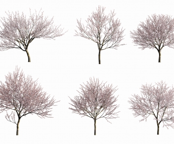 Modern Tree-ID:970244887