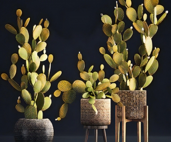 Modern Potted Green Plant-ID:323645115