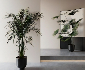 Modern Ground Green Plant Potted Plants-ID:539227963