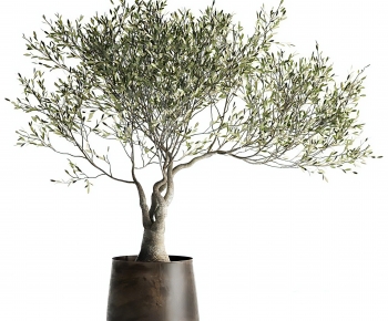 Modern Ground Green Plant Potted Plants-ID:449044948