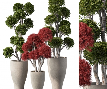 Modern Ground Green Plant Potted Plants-ID:273001913