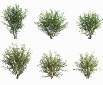 Modern Tree-ID:249799974