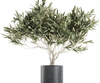 Modern Ground Green Plant Potted Plants-ID:367820988