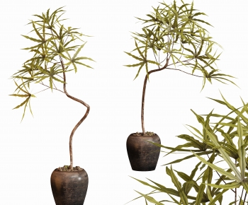 现代落地绿植盆栽组合-ID:163186071