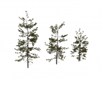 Modern Tree-ID:970119953