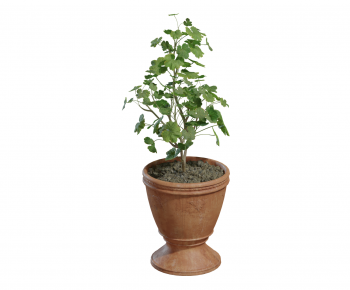 现代陶罐绿植盆栽-ID:458775044