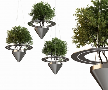 Modern Chlorophytum Comosum-ID:570808896