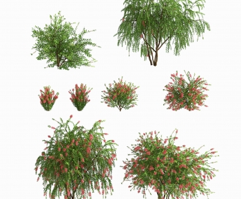 Modern Tree-ID:884085897