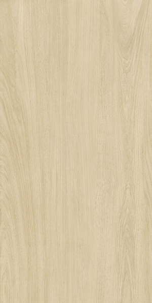 ModernWood Texture