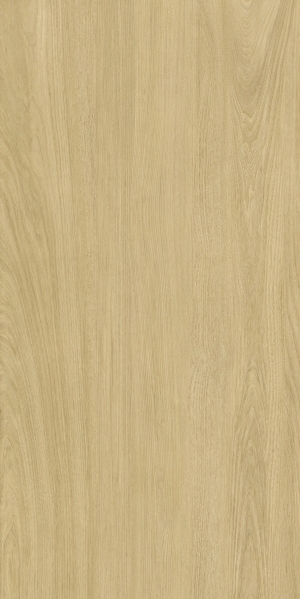 ModernWood Texture