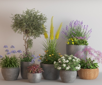 Modern Potted Green Plant-ID:627670053
