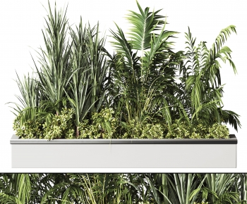 Modern Flower Bed, Flower Bowl, Flower Box-ID:745444065