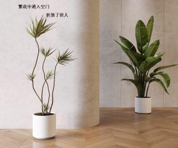 现代落地绿植盆栽组合-ID:798523902