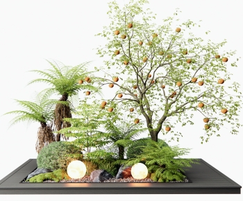 Modern Plant Landscaping-ID:650557042